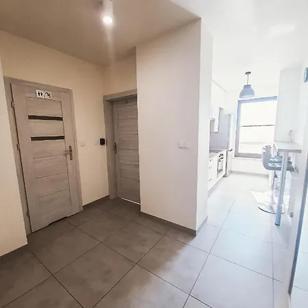 Arena No. 100 Cracóvia